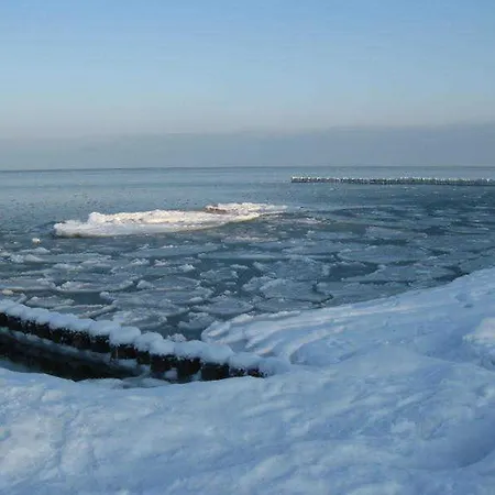 Ostseeidyll - Komfort Nahe Dem Rhododendronpark アパート