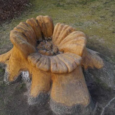 Ostseeidyll - Komfort Nahe Dem Rhododendronpark グラール・ミューリッツ