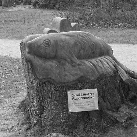 アパート Ostseeidyll - Komfort Nahe Dem Rhododendronpark グラール・ミューリッツ