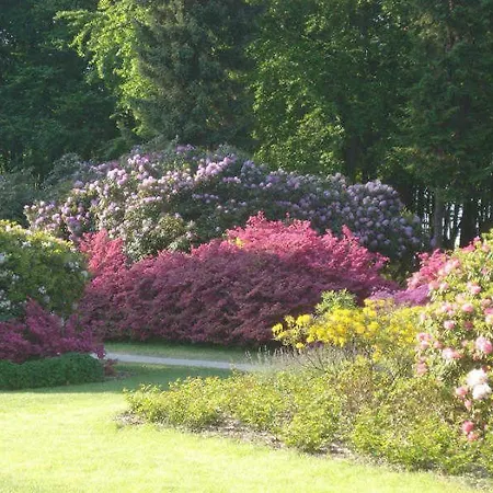 Apartment Ostseeidyll - Komfort Nahe Dem Rhododendronpark