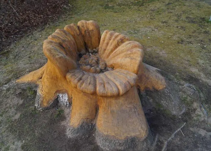 Ostseeidyll - Komfort Nahe Dem Rhododendronpark Graal-Mueritz